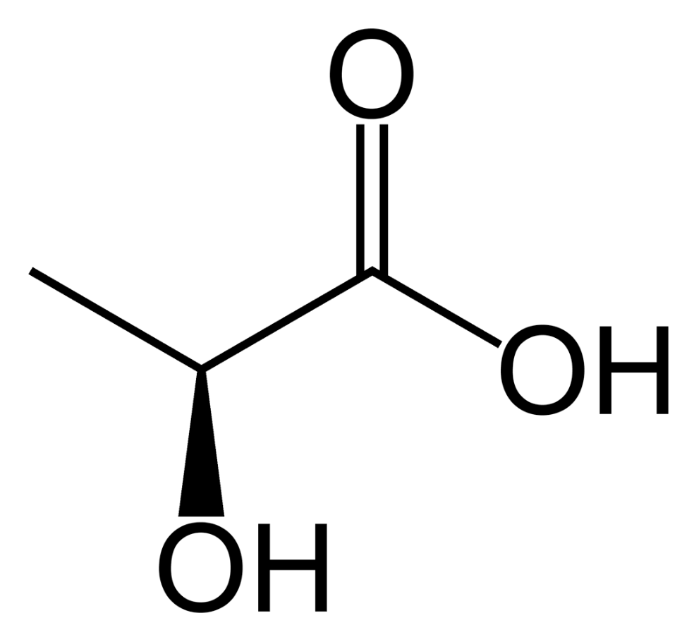 Lactic Acid Myths: What Your Muscles Are Really Telling You